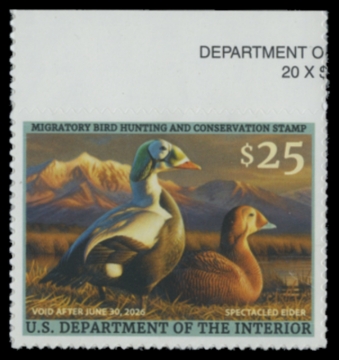 Picture of RW92 2025 Duck Stamp