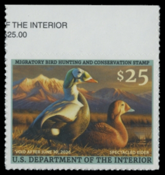 Picture of RW92 2025 Duck Stamp