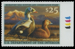 Picture of RW92 2025 Duck Stamp