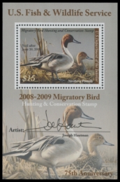 Picture of RW75B 2008 Duck Stamp