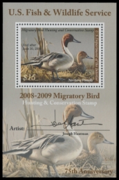 Picture of RW75B 2008 Duck Stamp