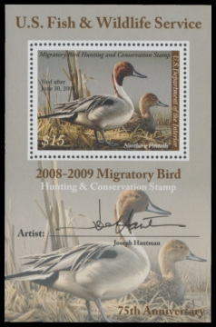 Picture of RW75B 2008 Duck Stamp