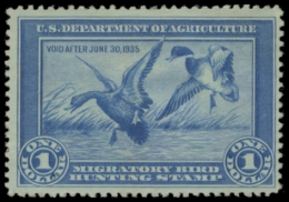 Picture of RW1 1934 Duck Stamp